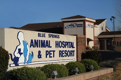 Dog day care in Blue Springs Missouri Blue Springs Animal Hospital 1
