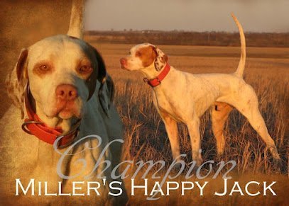 Dog day care in Bluejacket Oklahoma Crosscountry Kennels LLC 1