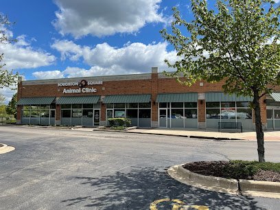 Dog day care in Bolingbrook Illinois Boughton Square Animal Clinic 1