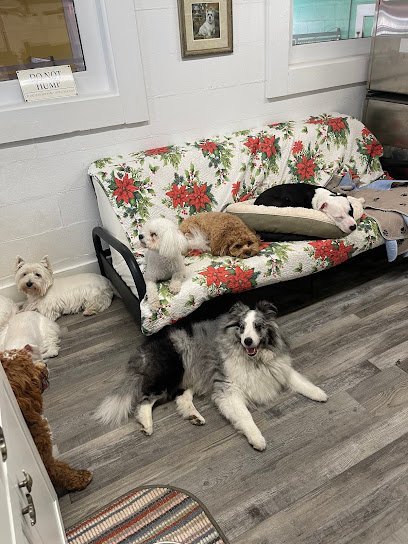 Dog day care in Bolivia North Carolina Adams Folly Bed Biscuit 1