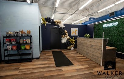 Dog day care in Bolton Massachusetts The Posh Pup Bolton 1