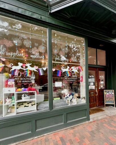 Dog day care in Boston Massachusetts D Tails Pet Boutique 1