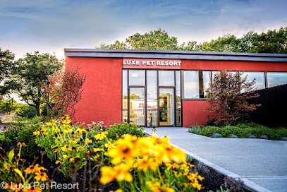 Dog day care in Boston Massachusetts Luxe Pet Resort 1