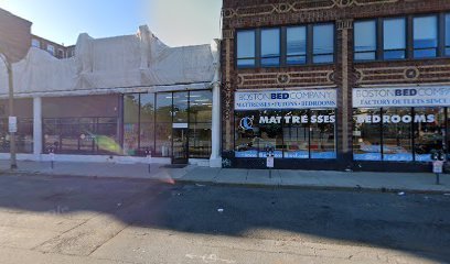 Dog day care in Boston Massachusetts The Daily Stroll 1