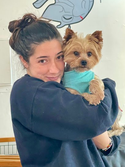 Dog day care in Boston Massachusetts Tricked Out Pup 1