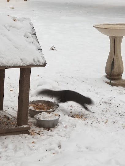 Dog day care in Brainerd Minnesota Red Oaks Pet Inn 1