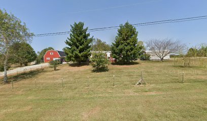 Dog day care in Brandenburg Kentucky Sadie s Place 1