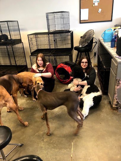 Dog day care in Brandon Mississippi Groom Room 1