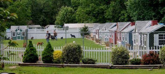 Dog day care in Brandywine Maryland DogtownMaryland 1