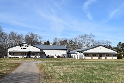 Dog day care in Braselton Georgia OUR HOUSE Braselton