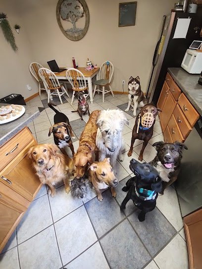 Dog day care in Brewerton New York From Fur to Feathers 1