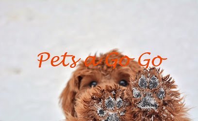 Dog day care in Briarcliff Manor New York Pets a Go Go LLC 1