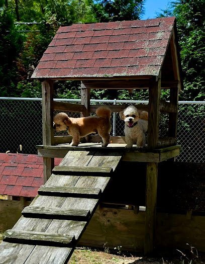 Dog day care in Bridgeton New Jersey Sunshine Dog Park 1