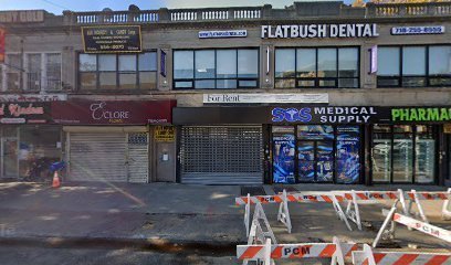 Dog day care in Brooklyn New York BK PET SPA 1