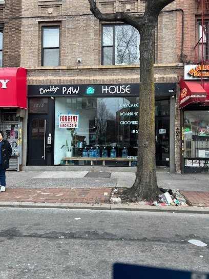 Dog day care in Brooklyn New York Brooklyn Paw House 1