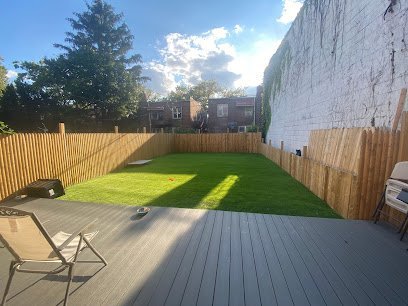 Dog day care in Brooklyn New York Brooklyn Unleashed 1