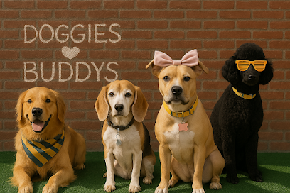 Dog day care in Brooklyn New York Buddy s Dog Den 1