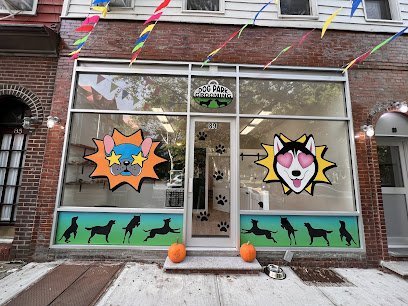 Dog day care in Brooklyn New York Dog Park Grooming Daycare Professional Dog Grooming Daycare Services 1