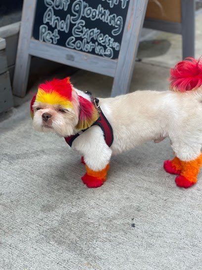 Dog day care in Brooklyn New York Flossy Pet Pawlor 1