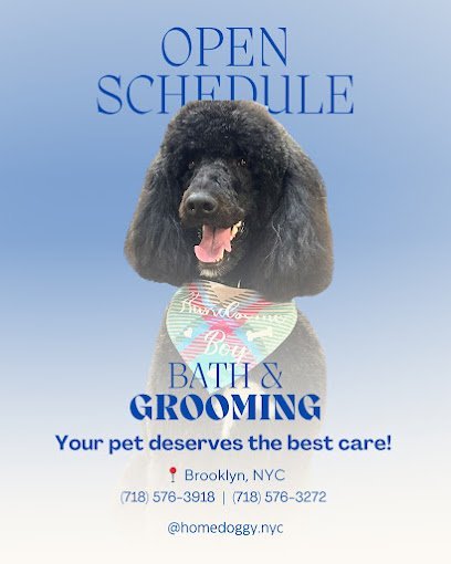 Dog day care in Brooklyn New York HomeDoggy 2 1