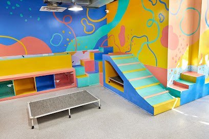 Dog day care in Brooklyn New York LE DOGGIE COOL 1