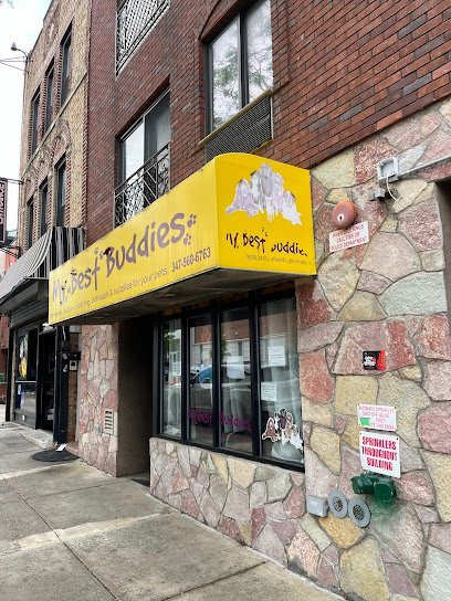 Dog day care in Brooklyn New York My Best Buddies 1