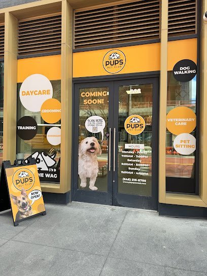 Dog day care in Brooklyn New York PUPS Pet Club 1