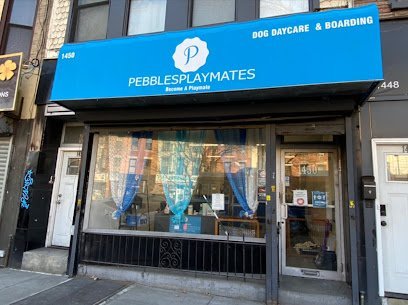 Dog day care in Brooklyn New York Pebbles Playmates 1