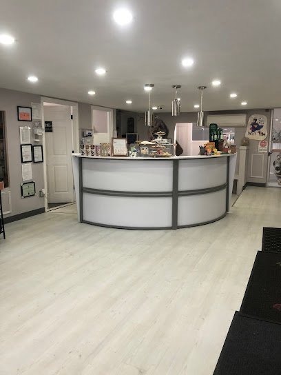 Dog day care in Brooklyn New York Pet Super Nanny 1