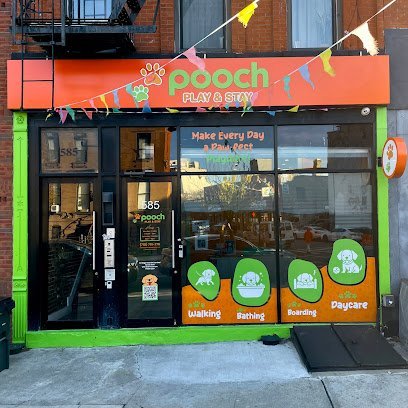Dog day care in Brooklyn New York Pooch Play and Stay 1