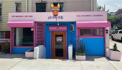 Dog day care in Brooklyn New York Strutting Mutts Dog Walkers Day Care 1