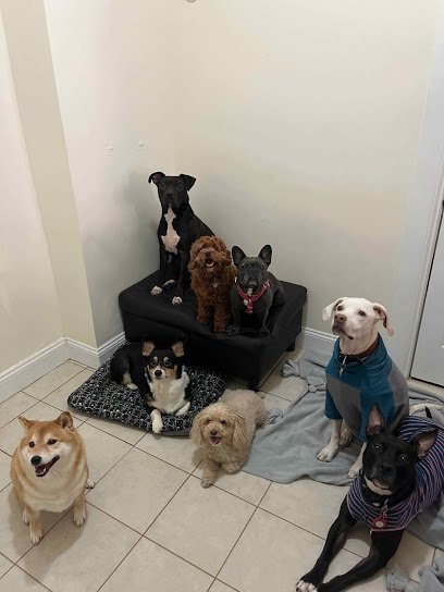 Dog day care in Brooklyn New York THE PET GETAWAY LLC 1