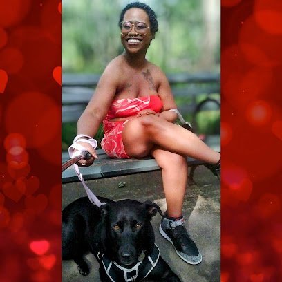 Dog day care in Brooklyn New York Tequira s Pet Services 1