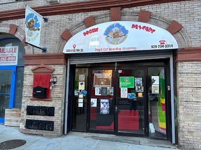 Dog day care in Brooklyn New York Where My Dogs At  Pet Spa Hotel 1