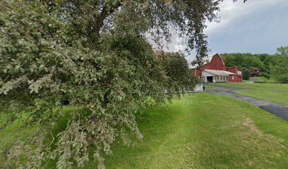 Dog day care in Brooktondale New York The Pet Playhouse and Kennels 1