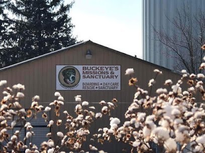 Dog day care in Brunswick Ohio Buckeye s Missions and Sanctuary 1