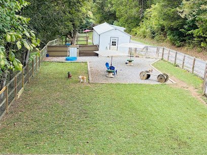 Dog day care in Brush Creek Tennessee Creekside Boarding 1