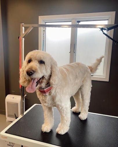 Dog day care in Bryan Ohio Louies Playhouse 1