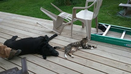 Dog day care in Bucksport Maine Paws Wings Things Kennel 1