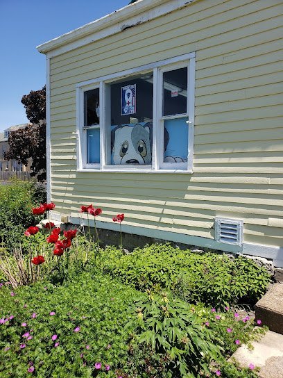 Dog day care in Buffalo New York Puppy Playpen 1