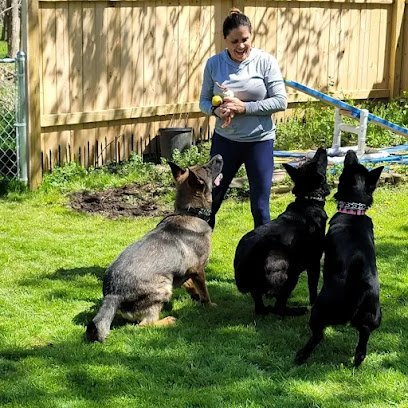 Dog day care in Bulls Gap Tennessee Doggy Dojo LLC 1