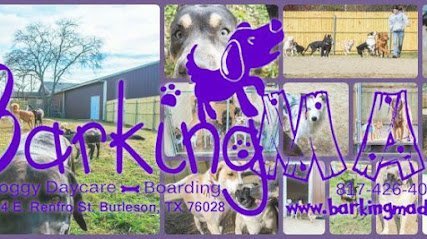Dog day care in Burleson Texas Barking Mad Doggy Daycare Boarding LLC 1
