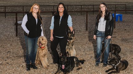 Dog day care in Burrton Kansas Special K9 Dog Training Country Resort 1