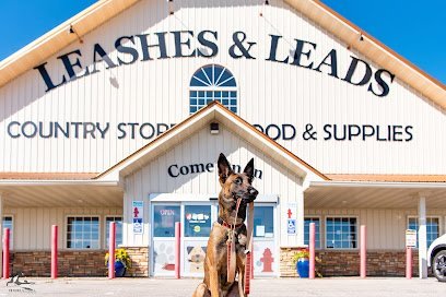 Dog day care in Byron Minnesota Leashes Leads 1