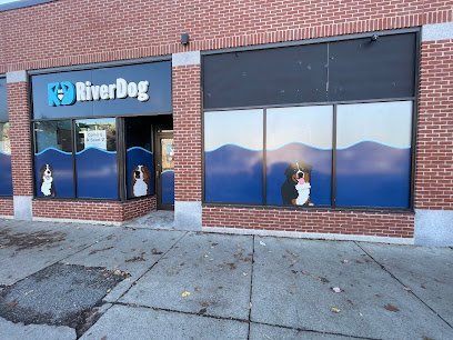 Dog day care in Cambridge Massachusetts RiverDog Daycare Cambridge 1