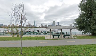 Dog day care in Cambridge Massachusetts The Dog Whisperer Boston 1