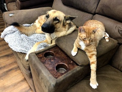 Dog day care in Cameron Texas Casa McKibben 1