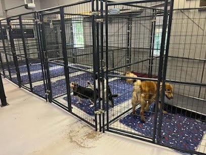 Dog day care in Canton Georgia Scouts Kennel Club