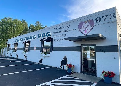 Dog day care in Canton Massachusetts Everything Dog 1