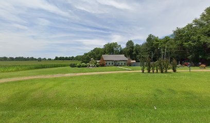 Dog day care in Canton Mississippi Dawgonefun 1